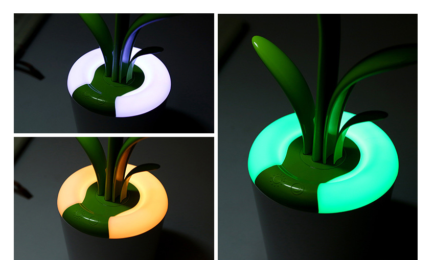 Clivia Desk Lights USB