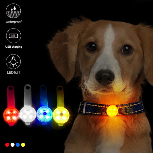 LED Dogs Collars