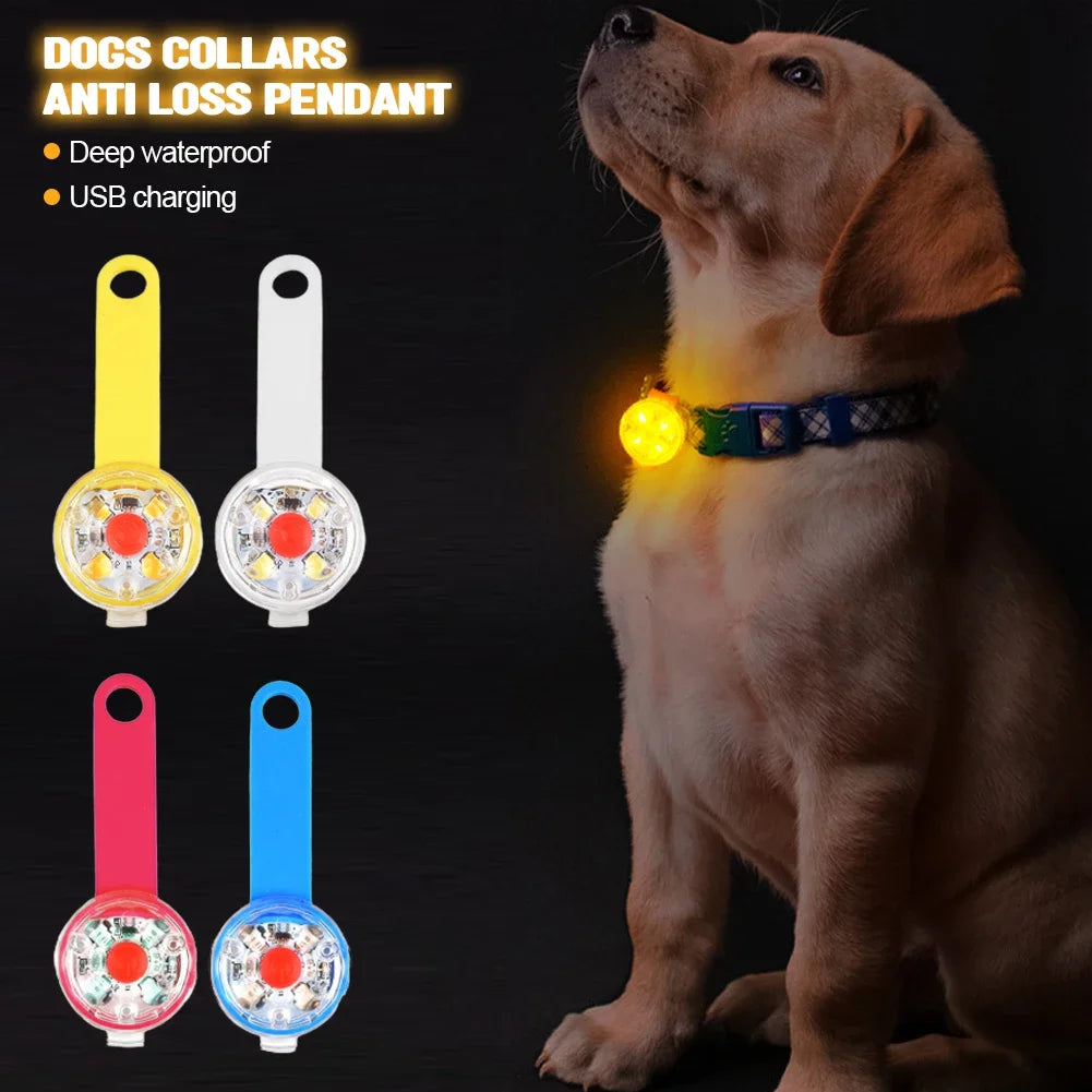 LED Dogs Collars