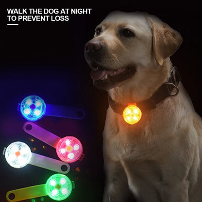 LED Dogs Collars